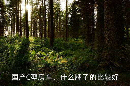 國(guó)產(chǎn)C型房車，什么牌子的比較好