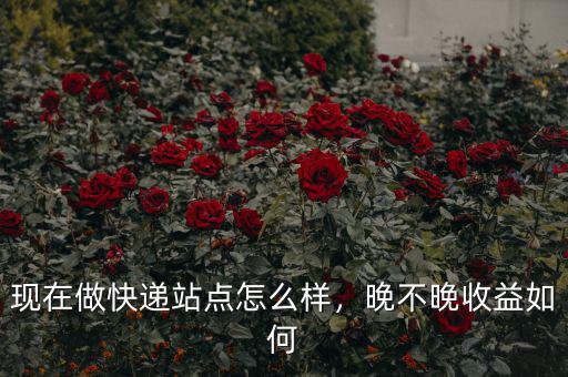 現(xiàn)在做快遞站點怎么樣，晚不晚收益如何