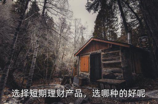 選擇短期理財產(chǎn)品，選哪種的好呢