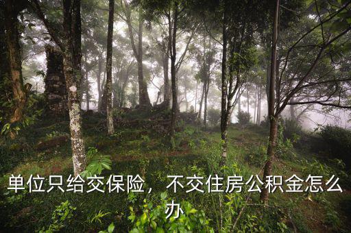 單位只給交保險，不交住房公積金怎么辦
