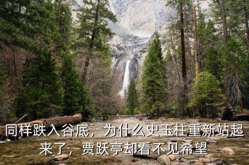 同樣跌入谷底，為什么史玉柱重新站起來(lái)了，賈躍亭卻看不見(jiàn)希望