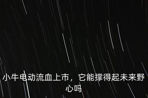 小牛電動(dòng)流血上市，它能撐得起未來(lái)野心嗎