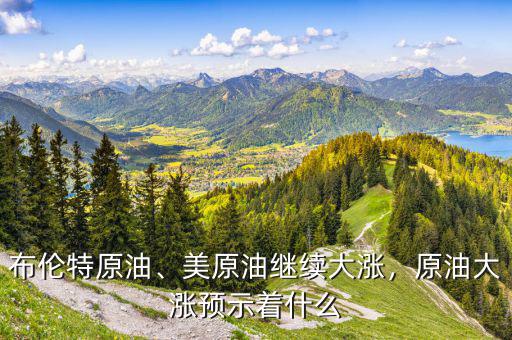 布倫特原油、美原油繼續(xù)大漲，原油大漲預示著什么
