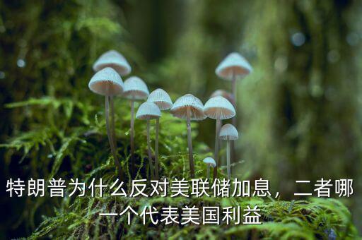 特朗普為什么反對(duì)美聯(lián)儲(chǔ)加息，二者哪一個(gè)代表美國利益