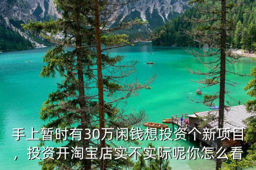 手上暫時有30萬閑錢想投資個新項目，投資開淘寶店實不實際呢你怎么看