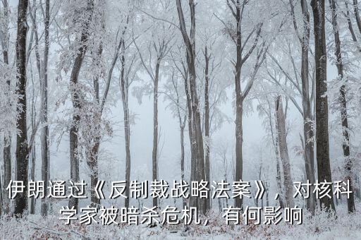 伊朗通過《反制裁戰(zhàn)略法案》，對(duì)核科學(xué)家被暗殺危機(jī)，有何影響