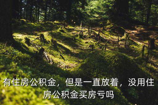有住房公積金，但是一直放著，沒用住房公積金買房虧嗎