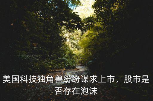 美國(guó)科技獨(dú)角獸紛紛謀求上市，股市是否存在泡沫