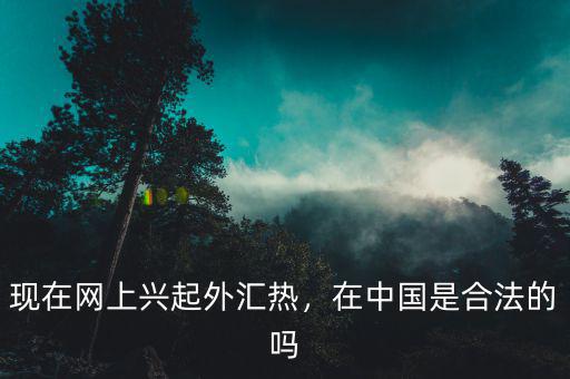 現(xiàn)在網(wǎng)上興起外匯熱，在中國是合法的嗎