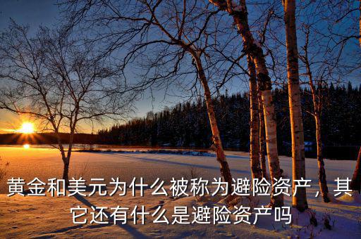 黃金和美元為什么被稱為避險資產，其它還有什么是避險資產嗎
