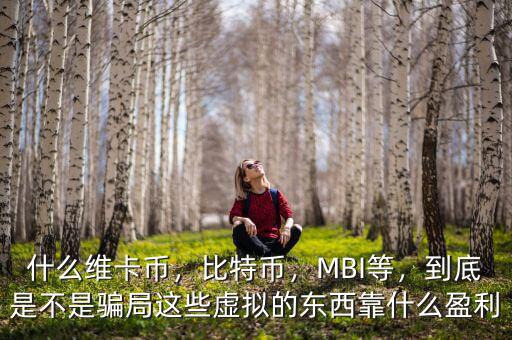 什么維卡幣，比特幣，MBI等，到底是不是騙局這些虛擬的東西靠什么盈利