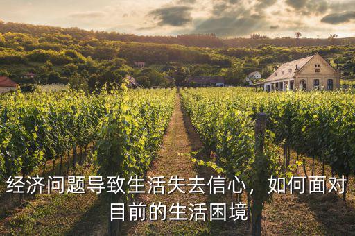 經(jīng)濟(jì)問題導(dǎo)致生活失去信心，如何面對(duì)目前的生活困境