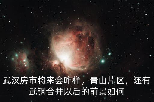 武漢房市將來會咋樣，青山片區(qū)，還有武鋼合并以后的前景如何
