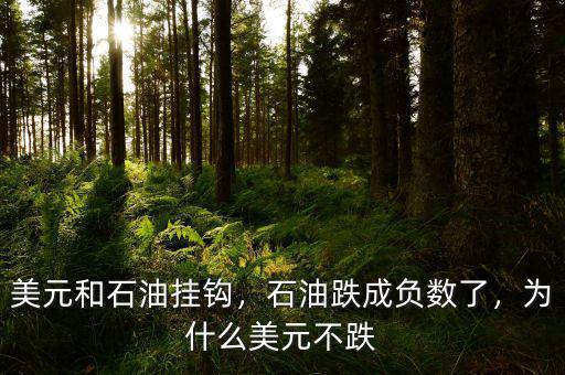 美元和石油掛鉤，石油跌成負(fù)數(shù)了，為什么美元不跌