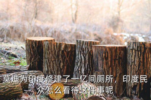 莫迪為印度修建了一億間廁所，印度民眾怎么看待這件事呢