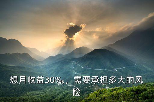 想月收益30%,，需要承擔(dān)多大的風(fēng)險(xiǎn)