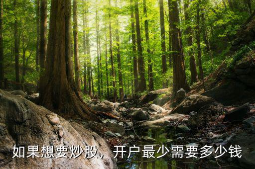 如果想要炒股，開(kāi)戶最少需要多少錢(qián)