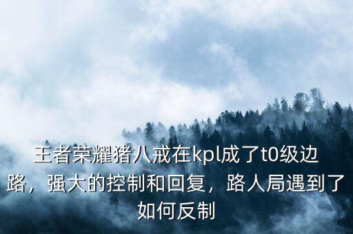 王者榮耀豬八戒在kpl成了t0級邊路，強大的控制和回復，路人局遇到了如何反制