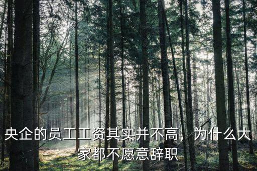 央企的員工工資其實(shí)并不高，為什么大家都不愿意辭職