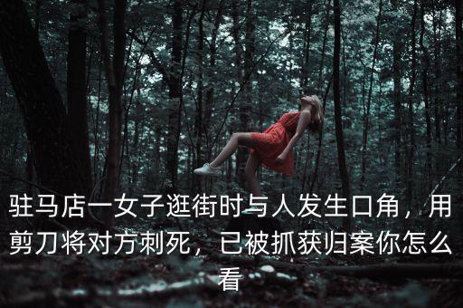 駐馬店一女子逛街時(shí)與人發(fā)生口角，用剪刀將對(duì)方刺死，已被抓獲歸案你怎么看