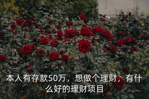 本人有存款50萬(wàn)，想做個(gè)理財(cái)，有什么好的理財(cái)項(xiàng)目