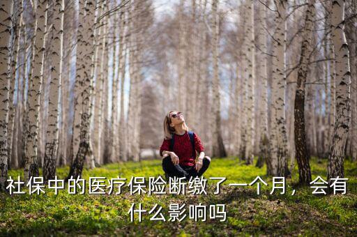 社保中的醫(yī)療保險(xiǎn)斷繳了一個(gè)月，會(huì)有什么影響嗎