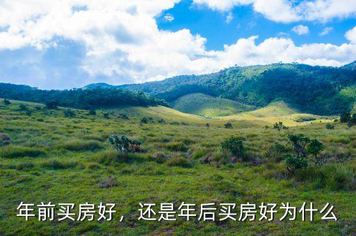 樓市崩盤(pán)前買(mǎi)房好還是怎么投資好,還是年后買(mǎi)房好。為什么