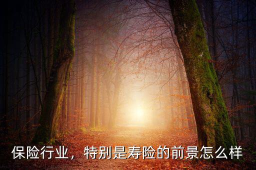 保險行業(yè)，特別是壽險的前景怎么樣