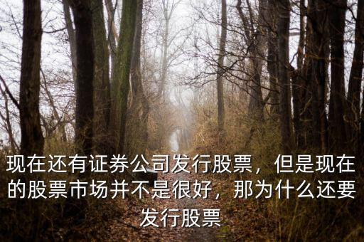 現(xiàn)在還有證券公司發(fā)行股票，但是現(xiàn)在的股票市場并不是很好，那為什么還要發(fā)行股票