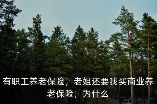 有職工養(yǎng)老保險(xiǎn)，老姐還要我買商業(yè)養(yǎng)老保險(xiǎn)，為什么