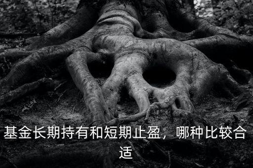 基金長期持有和短期止盈，哪種比較合適