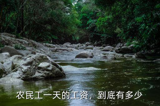 農(nóng)民工一天的工資，到底有多少