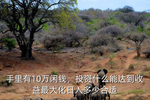 手里有10萬閑錢，投資什么能達到收益最大化日入多少合適