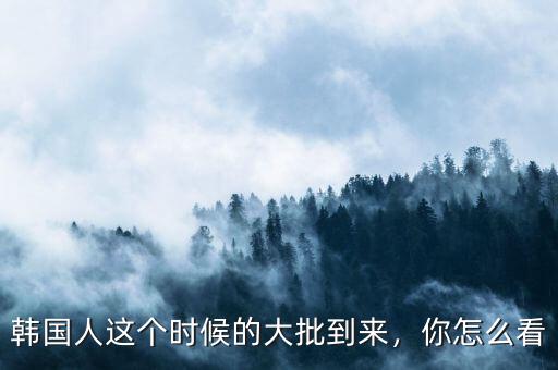 韓國(guó)人這個(gè)時(shí)候的大批到來(lái)，你怎么看