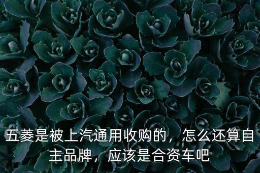 五菱是被上汽通用收購(gòu)的，怎么還算自主品牌，應(yīng)該是合資車吧