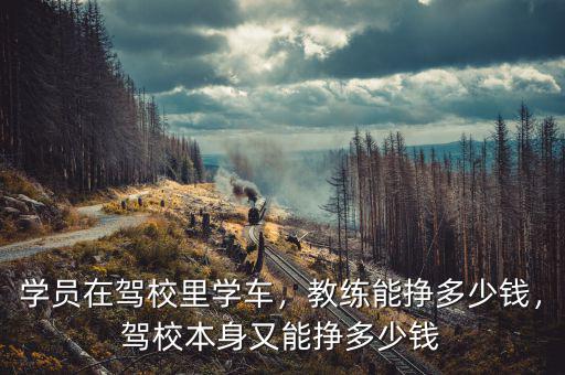 學(xué)員在駕校里學(xué)車，教練能掙多少錢，駕校本身又能掙多少錢