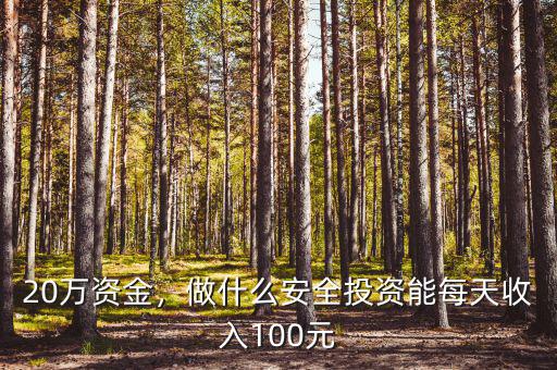 20萬資金，做什么安全投資能每天收入100元
