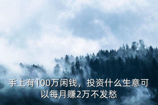 手上有100萬閑錢，投資什么生意可以每月賺2萬不發(fā)愁