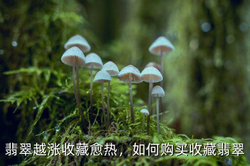 翡翠越漲收藏愈熱，如何購買收藏翡翠