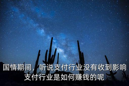 國情期間，聽說支付行業(yè)沒有收到影響支付行業(yè)是如何賺錢的呢
