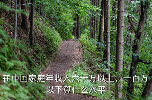 在中國家庭年收入六十萬以上，一百萬以下算什么水平
