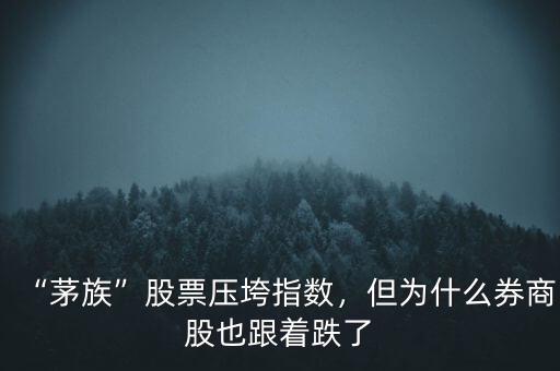 “茅族”股票壓垮指數(shù)，但為什么券商股也跟著跌了