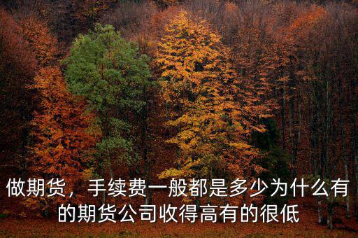 做期貨，手續(xù)費(fèi)一般都是多少為什么有的期貨公司收得高有的很低