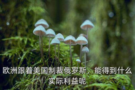 歐洲跟著美國制裁俄羅斯，能得到什么實(shí)際利益呢