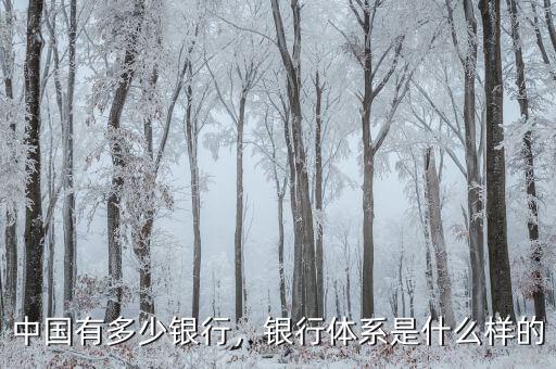 中國(guó)有多少銀行，銀行體系是什么樣的