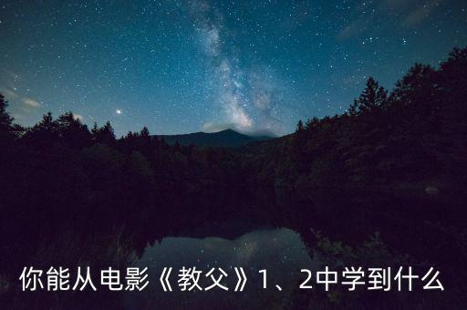 你能從電影《教父》1、2中學到什么