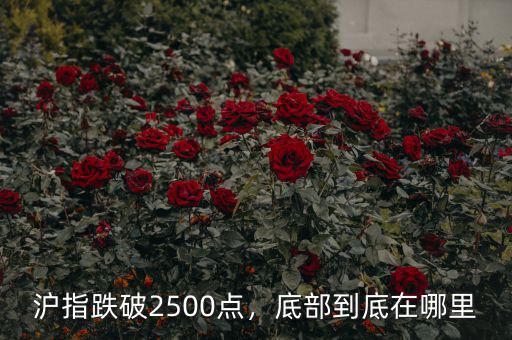 滬指跌破2500點，底部到底在哪里