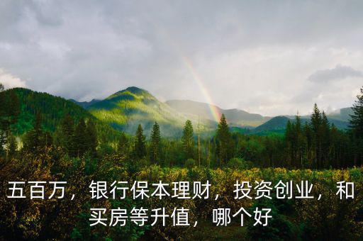 五百萬，銀行保本理財，投資創(chuàng)業(yè)，和買房等升值，哪個好