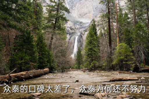 眾泰的口碑太差了，眾泰為何還不努力