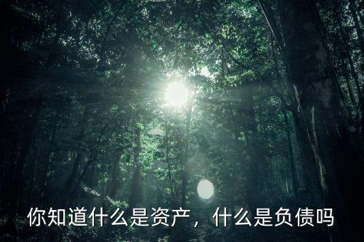 你知道什么是資產(chǎn)，什么是負(fù)債嗎
